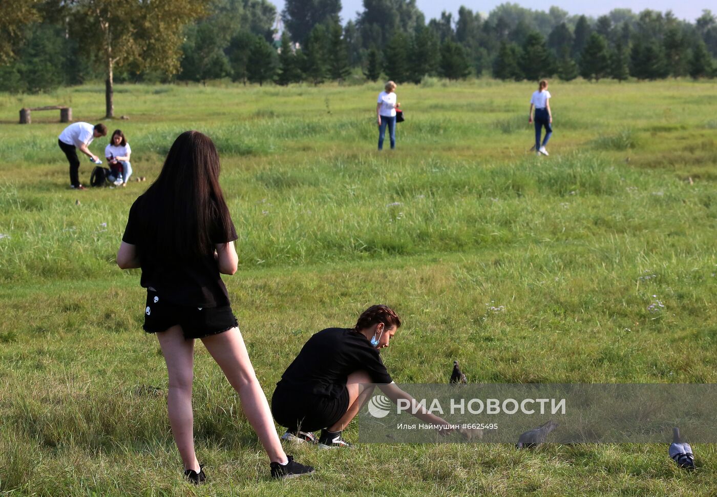 Суслики на острове Татышев в Красноярске