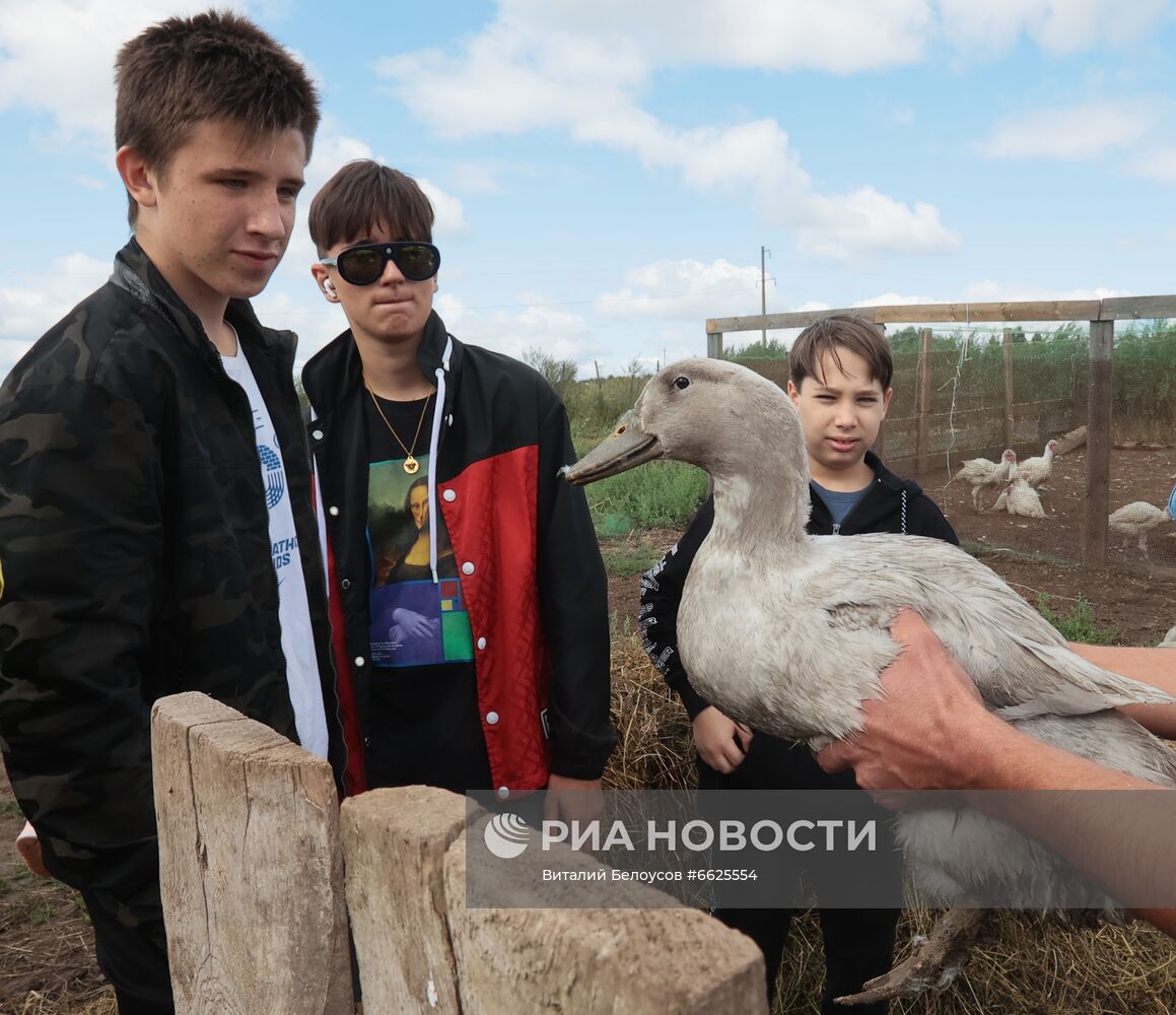 Фермерское хозяйство Лукино в Тульской области