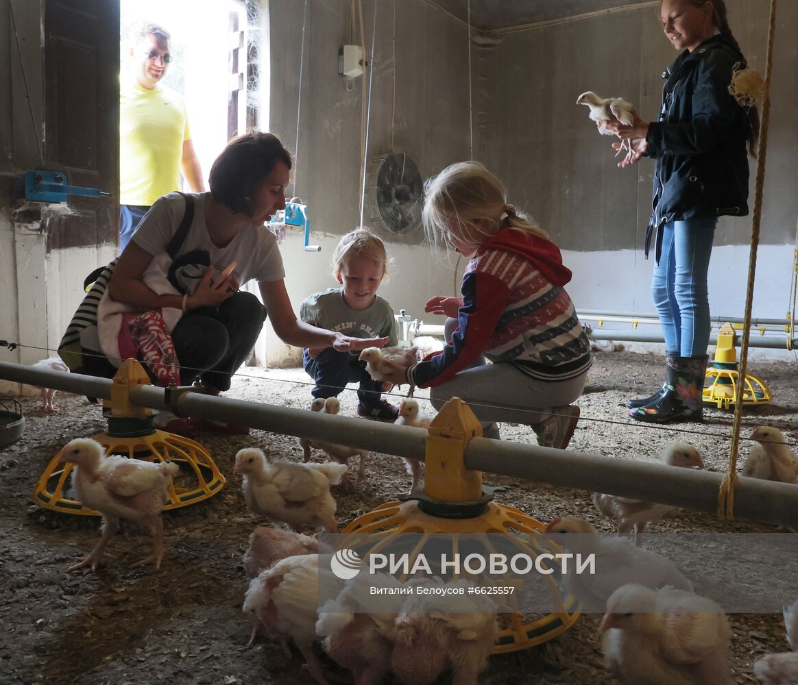 Фермерское хозяйство Лукино в Тульской области