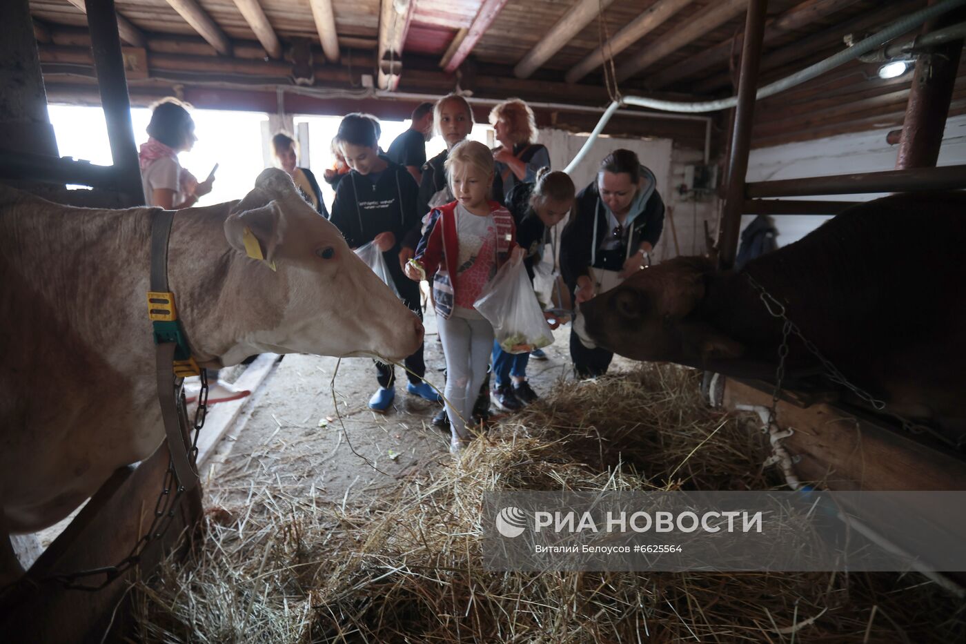 Фермерское хозяйство Лукино в Тульской области