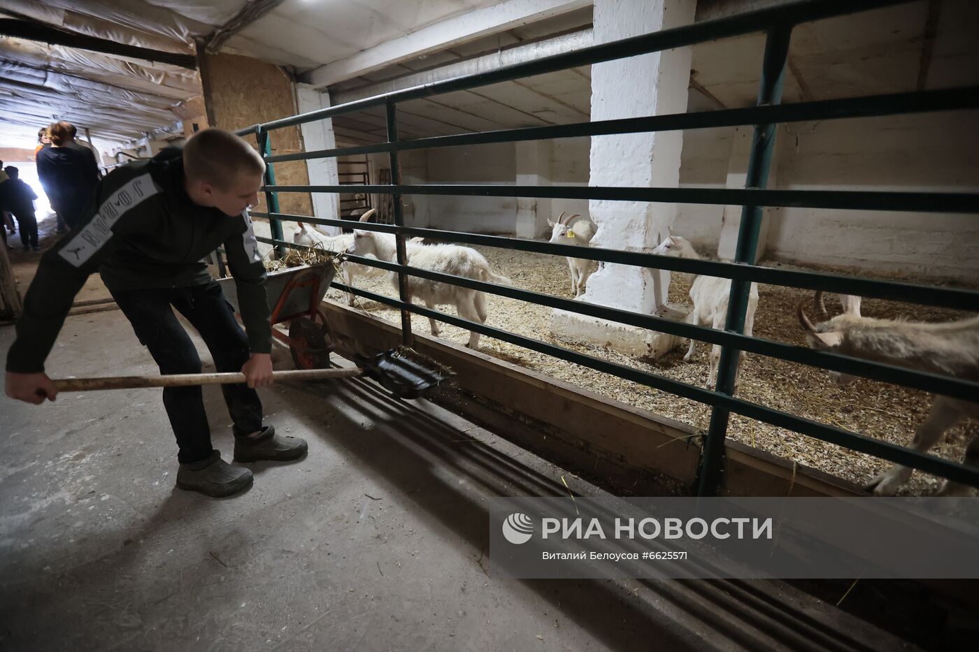 Фермерское хозяйство Лукино в Тульской области