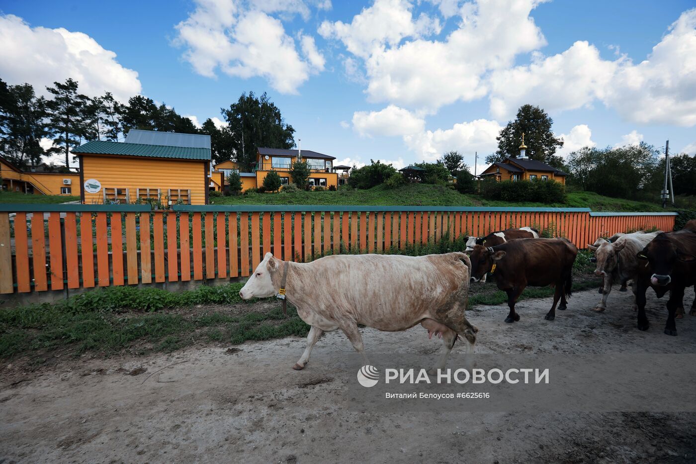 Фермерское хозяйство Лукино в Тульской области