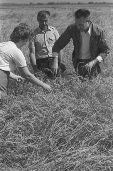 Краснодарский край