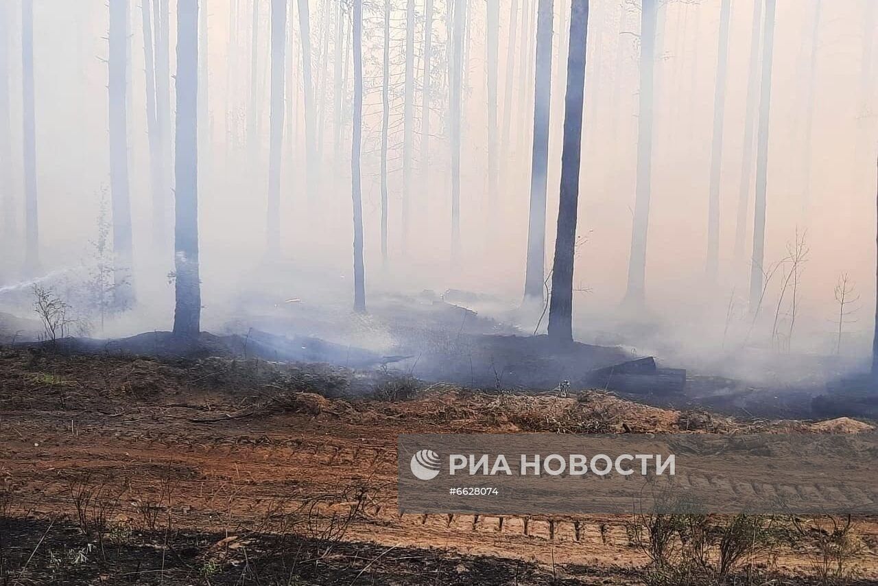 Лесные пожары в Республике Марий Эл