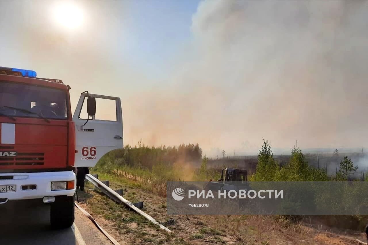 Лесные пожары в Республике Марий Эл