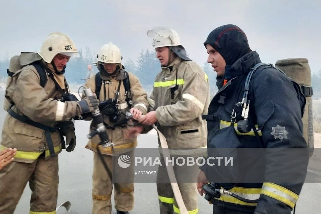 Лесные пожары в Республике Марий Эл