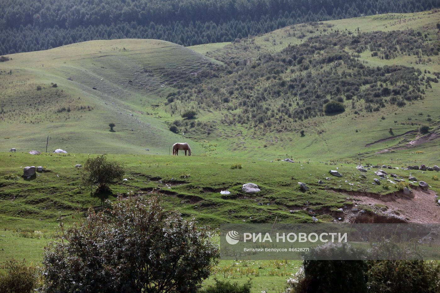 Страны мира. Киргизия