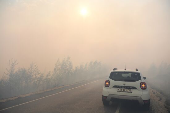 Лесные пожары в Республике Марий Эл