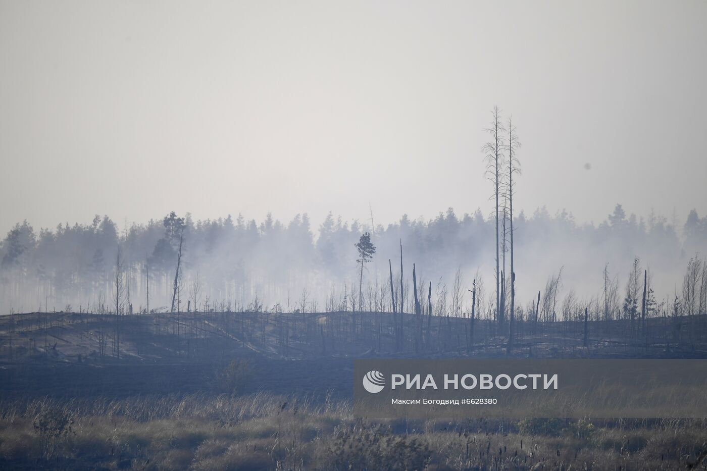 Лесные пожары в Республике Марий Эл