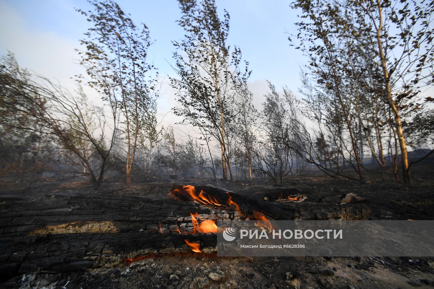 Лесные пожары в Республике Марий Эл