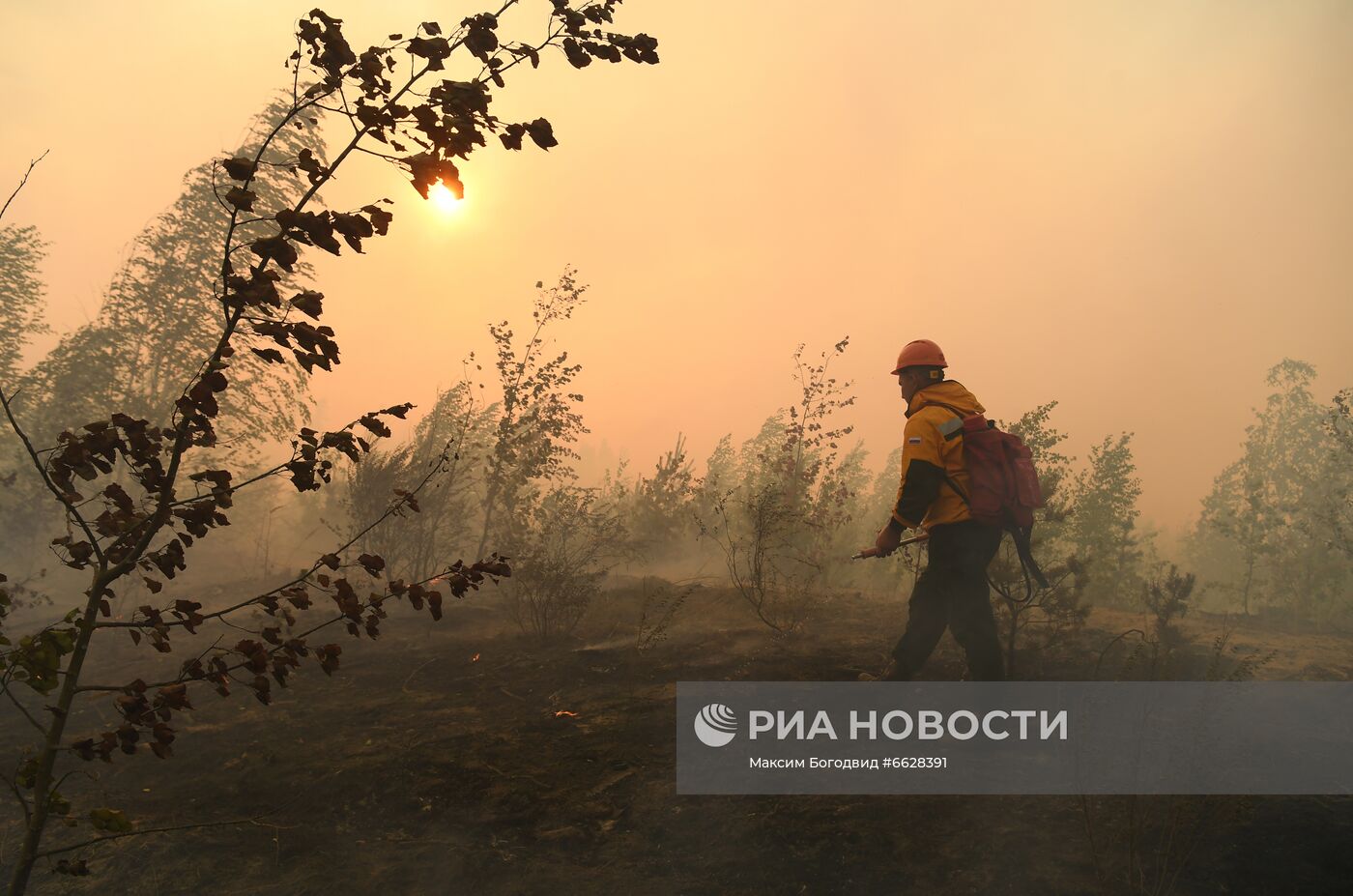 Лесные пожары в Республике Марий Эл