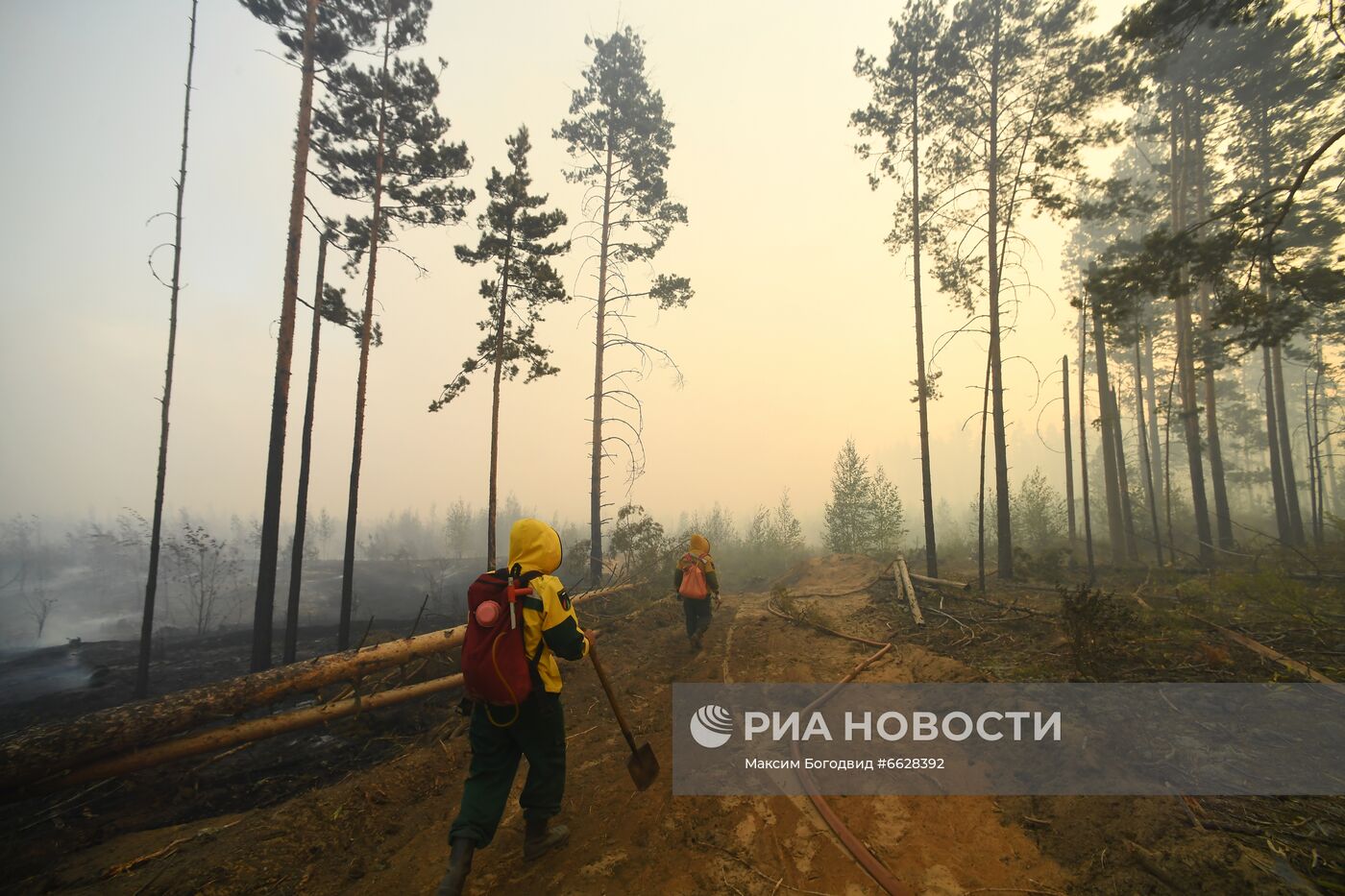 Лесные пожары в Республике Марий Эл