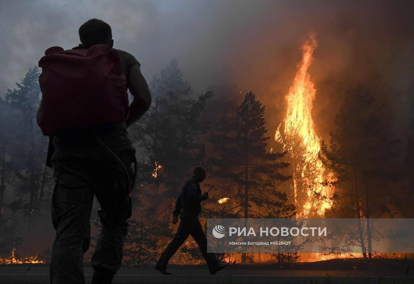 Лесные пожары в Республике Марий Эл