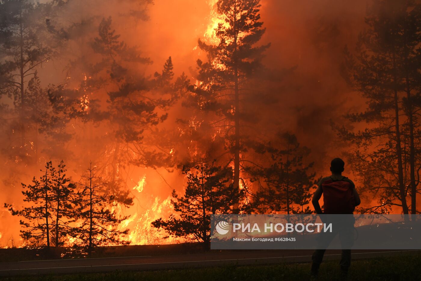 Лесные пожары в Республике Марий Эл