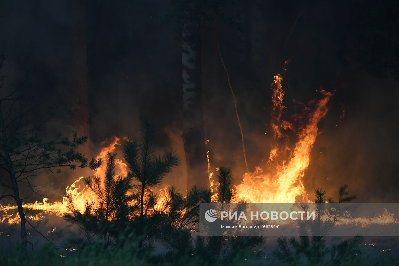 Лесные пожары в Республике Марий Эл