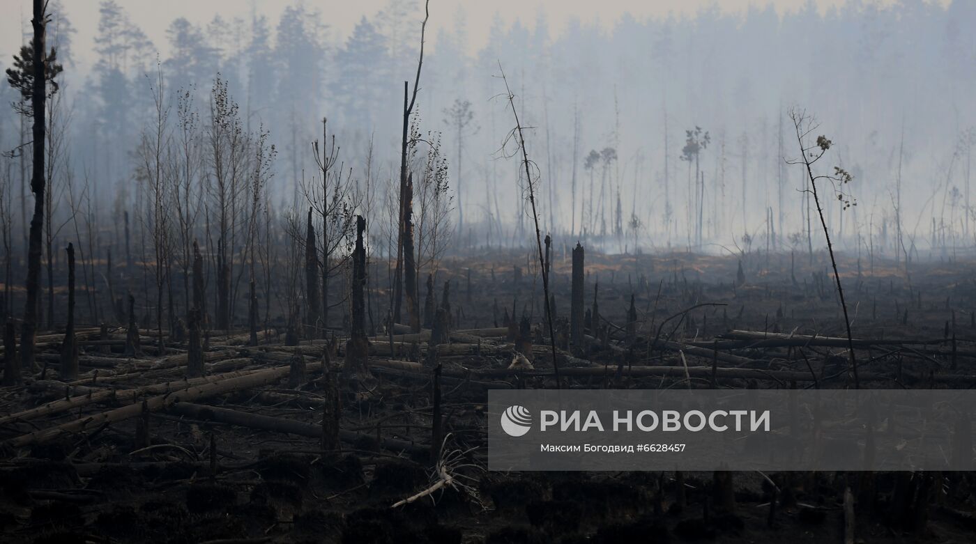 ФОТО НЕДЕЛИ