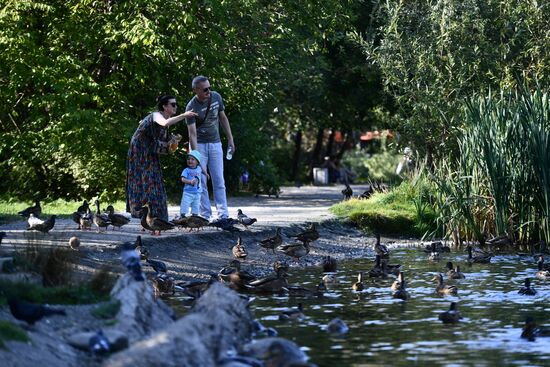 Жара в Екатеринбурге