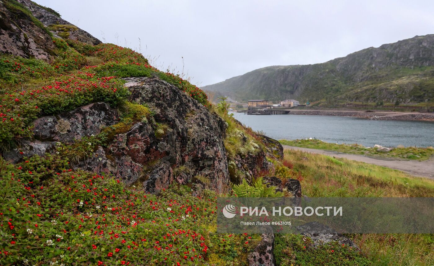 Арктический музыкальный фестиваль в Териберке