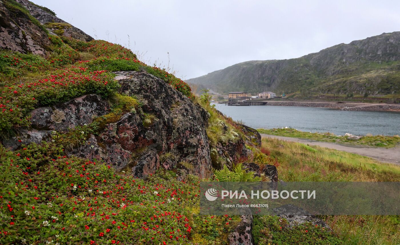 Арктический музыкальный фестиваль в Териберке