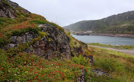 Арктический музыкальный фестиваль в Териберке