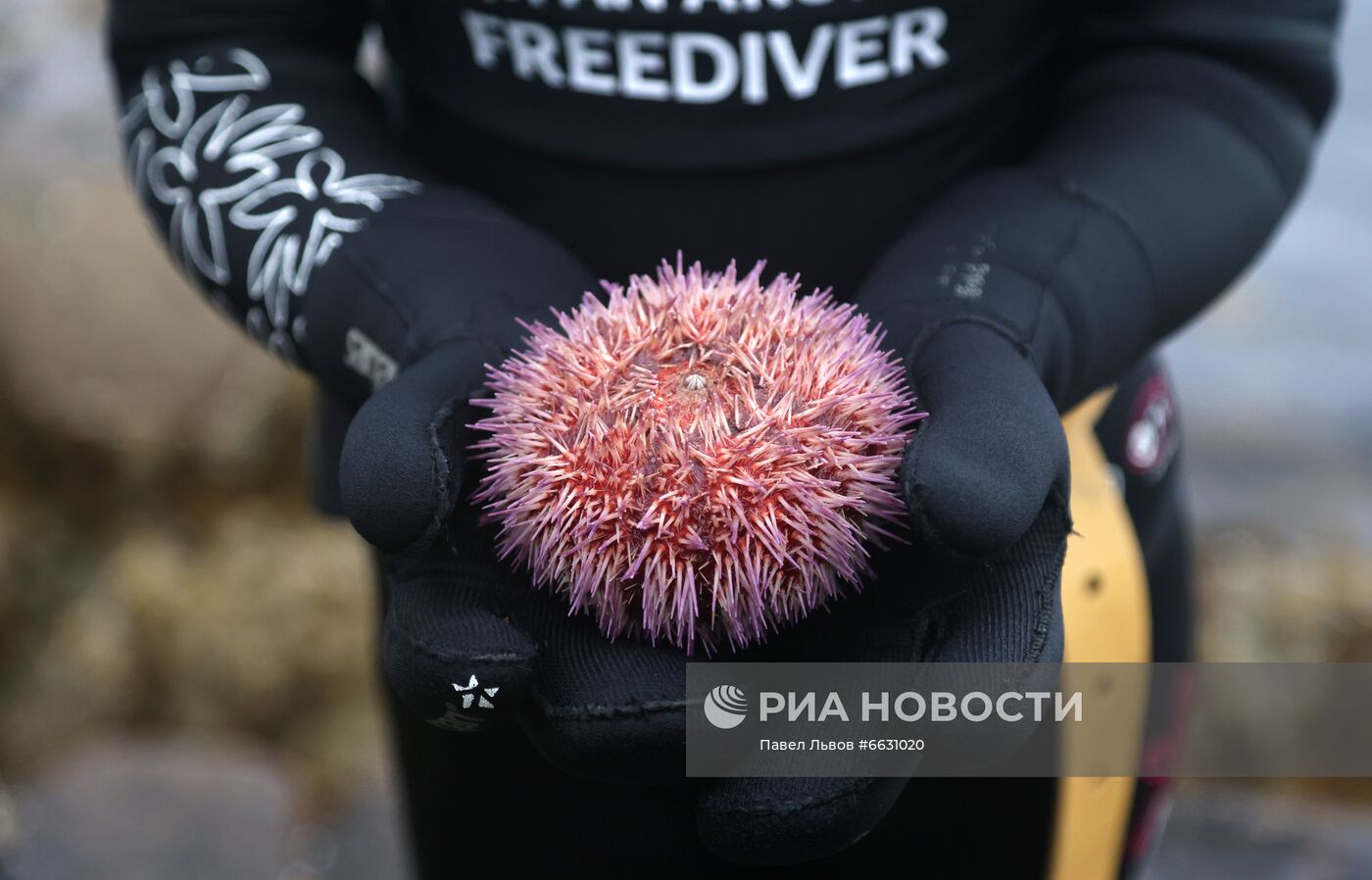 Арктический музыкальный фестиваль в Териберке