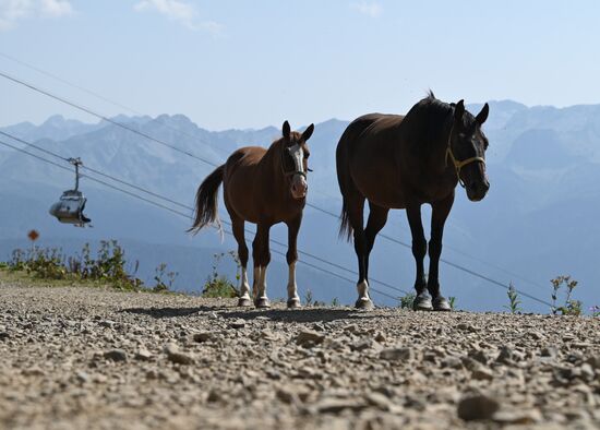 Отдыхающие на горнолыжном курорте "Роза Хутор" в Красной Поляне