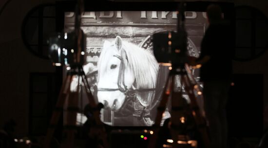 Ежегодная акция "Ночь кино"