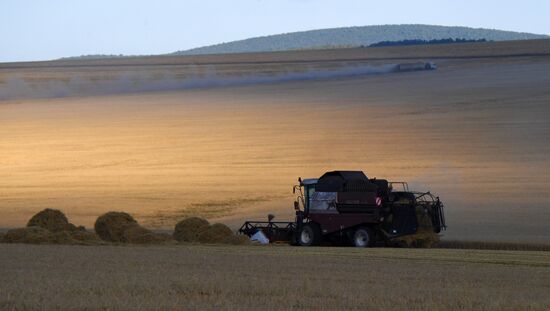 Сбор урожая зерна в Красноярском крае