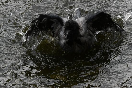 Московский зоопарк