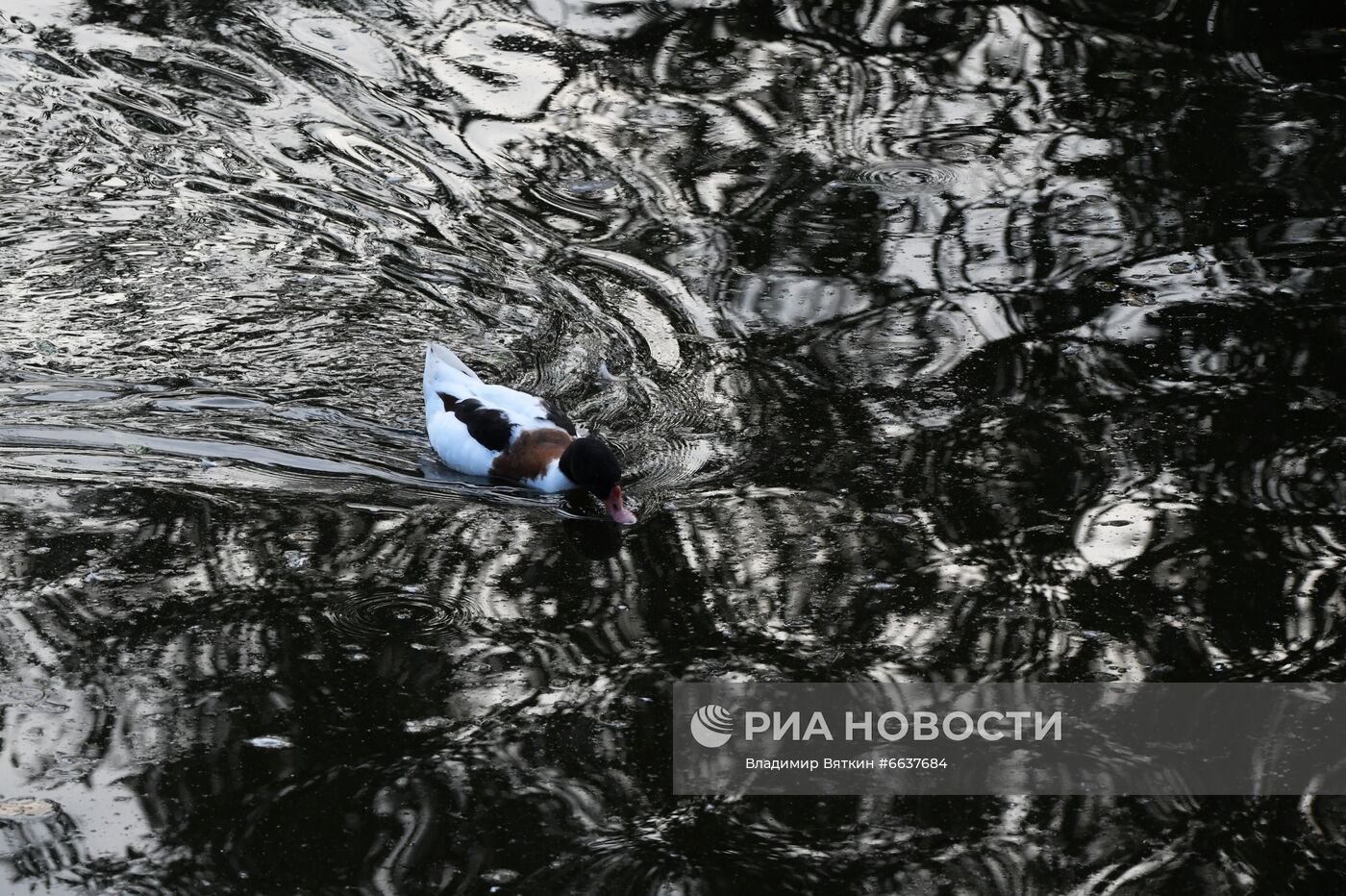 Московский зоопарк