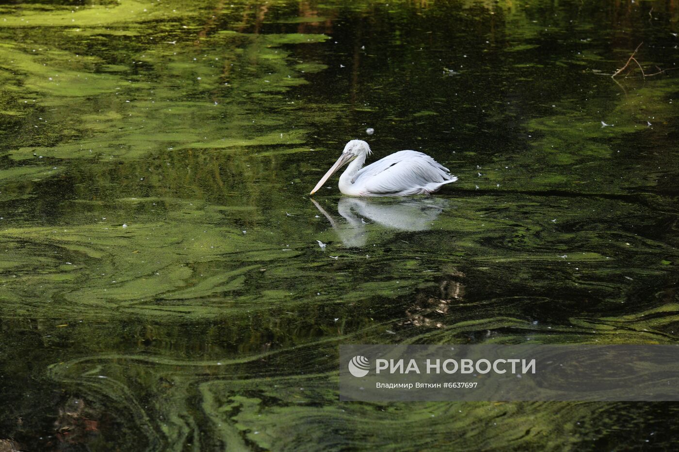 Московский зоопарк