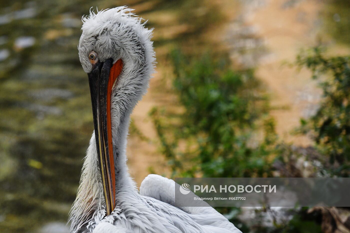 Московский зоопарк