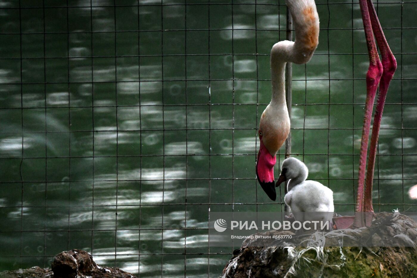 Московский зоопарк