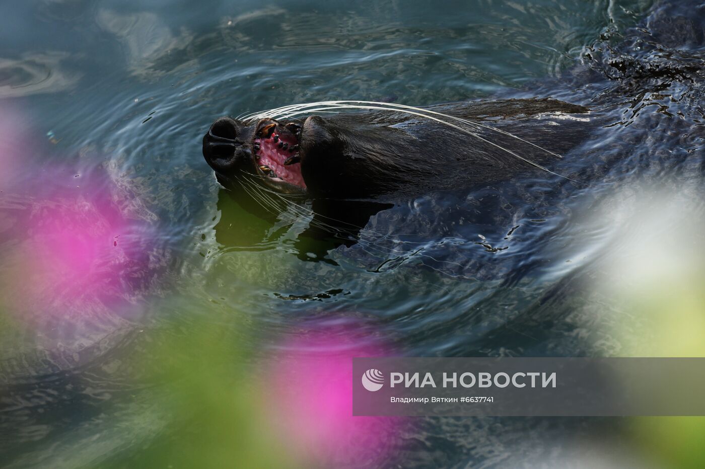 Московский зоопарк