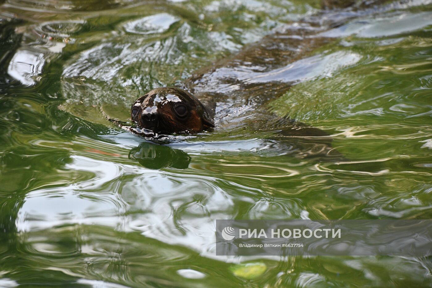 Московский зоопарк