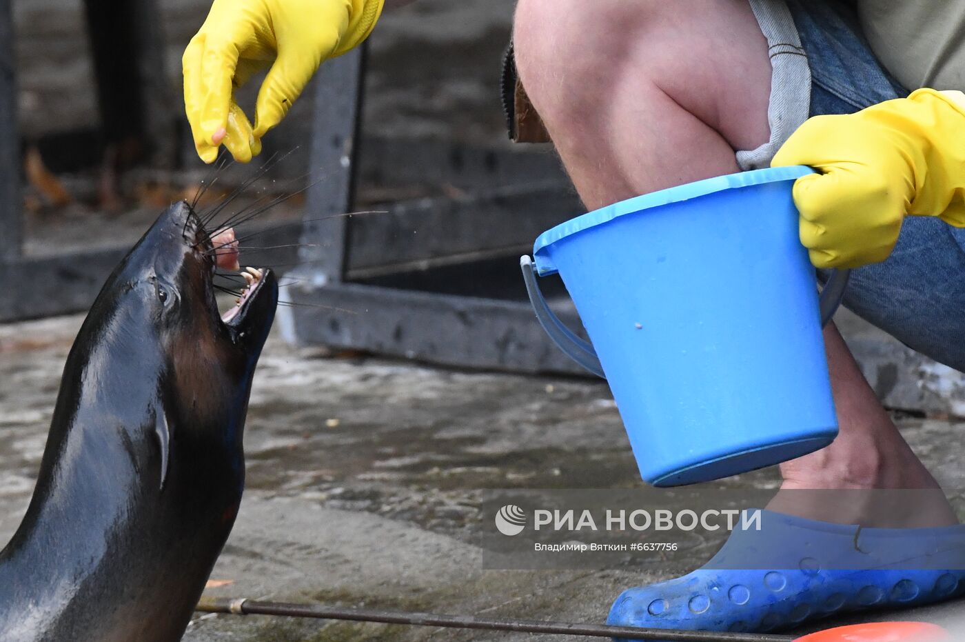 Московский зоопарк