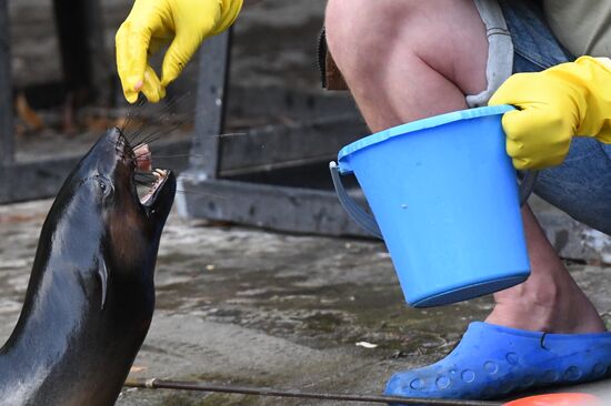 Московский зоопарк
