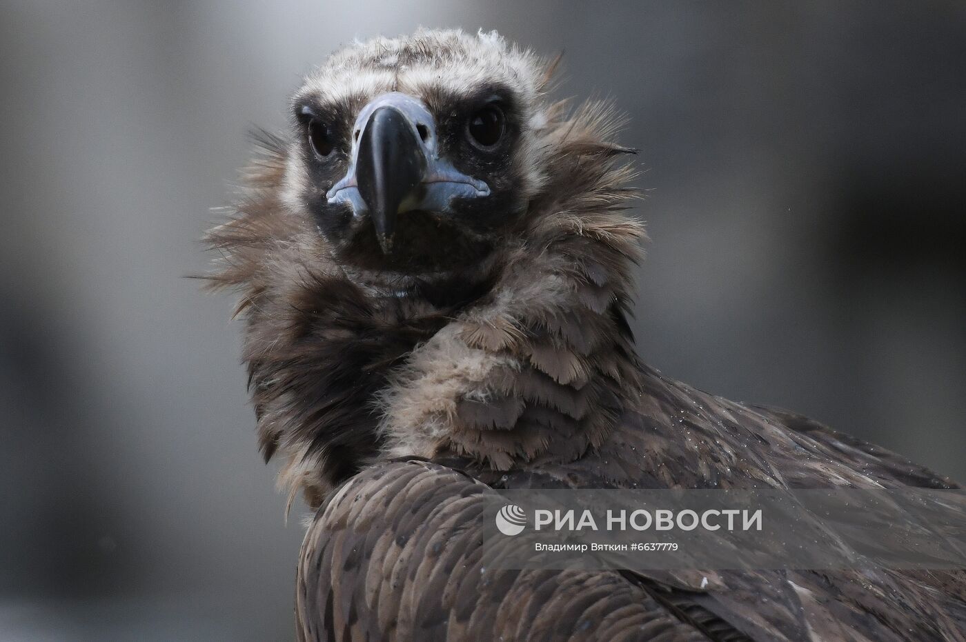 Московский зоопарк