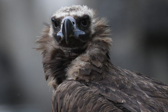 Московский зоопарк