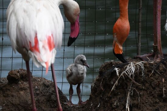 Фото недели