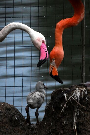 Московский зоопарк