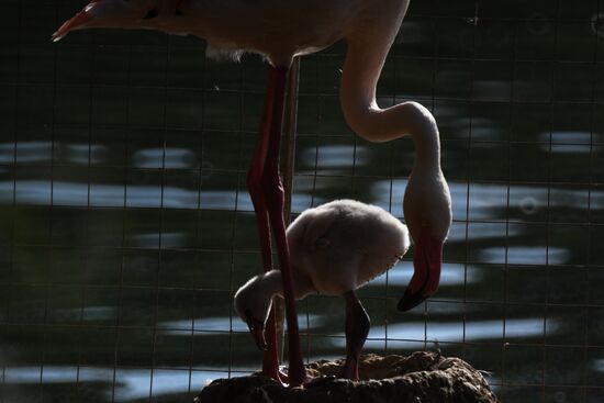 Московский зоопарк