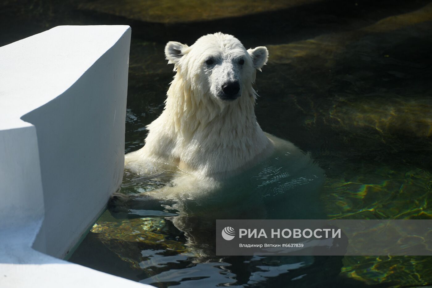 Московский зоопарк