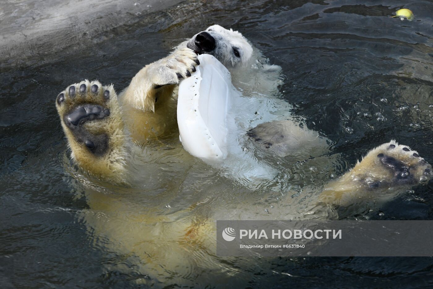 Московский зоопарк