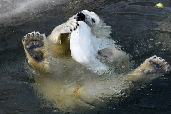 Московский зоопарк