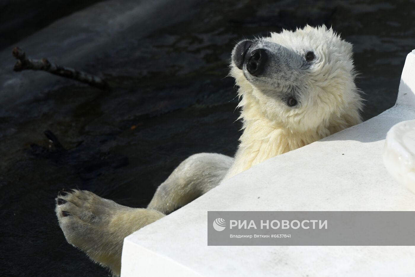 Московский зоопарк