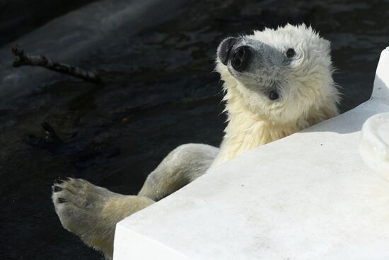 Московский зоопарк