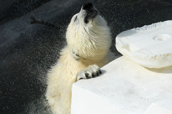 Московский зоопарк