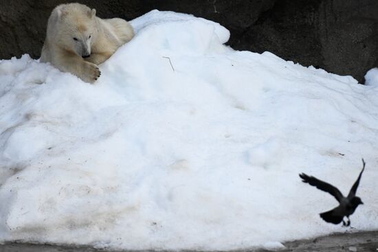 Московский зоопарк