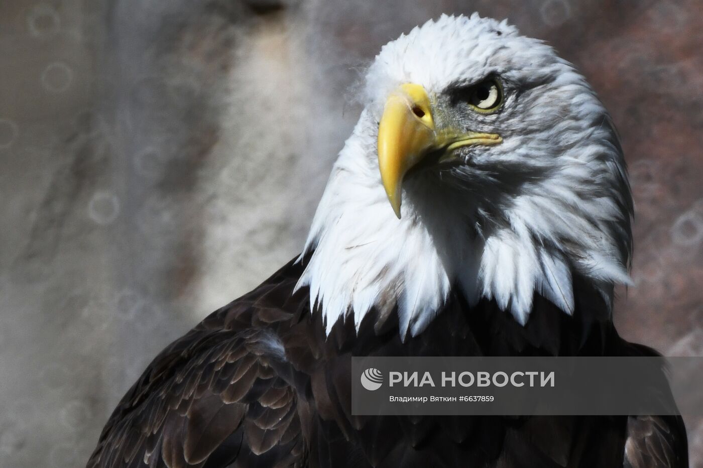 Московский зоопарк